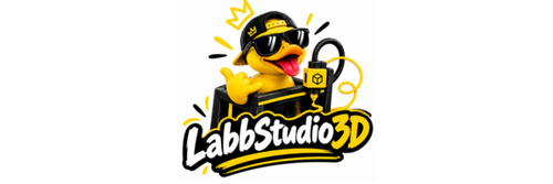 LabbStudio3D